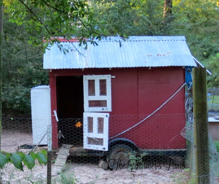 How to Build a Chicken Coop for FirstTimers Backyard Poultry